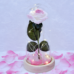 Enchanted Forever Rose Flower In Glass LED Light Christmas Decoration