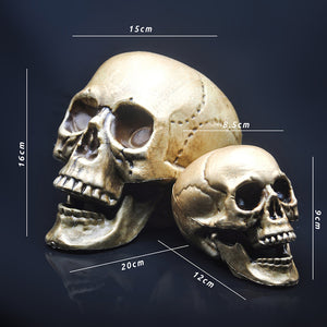 Skull Decor Prop Skeleton Head Plastic  Model Halloween