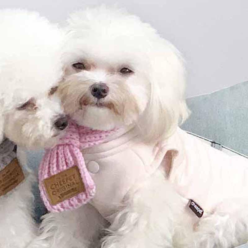 Winter Dog Collar Bandana Neckscarf Warm Snow Pet Cat Yorkshire French Bulldog Terrier Strap Fashion Puppies Jewelry Drop Ship