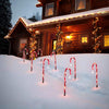 Christmas Outdoor Solar Cane Light LED Copper Wire Ground Plug