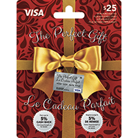 MasterCard / Visa , Prepared Credit Cards (Gift Card)  $25 $50 $100